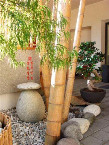 Bed and Breakfast Garni Cremona Bressanone Esterno foto